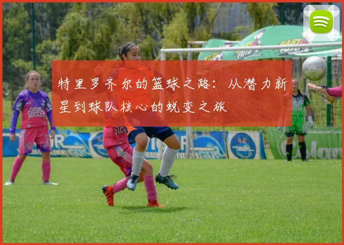 特里罗齐尔的篮球之路：从潜力新星到球队核心的蜕变之旅
