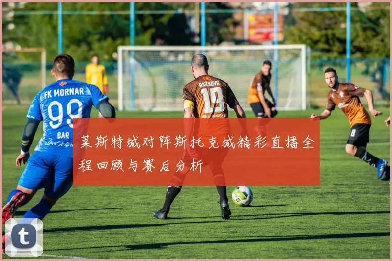 莱斯特城对阵斯托克城精彩直播全程回顾与赛后分析