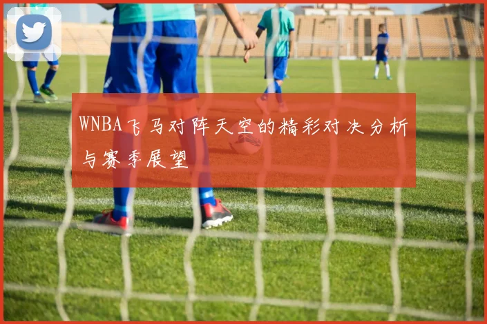 WNBA飞马对阵天空的精彩对决分析与赛季展望
