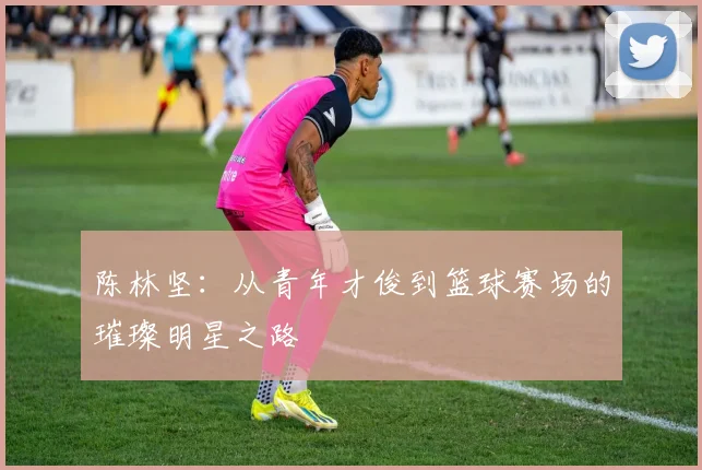 陈林坚：从青年才俊到篮球赛场的璀璨明星之路