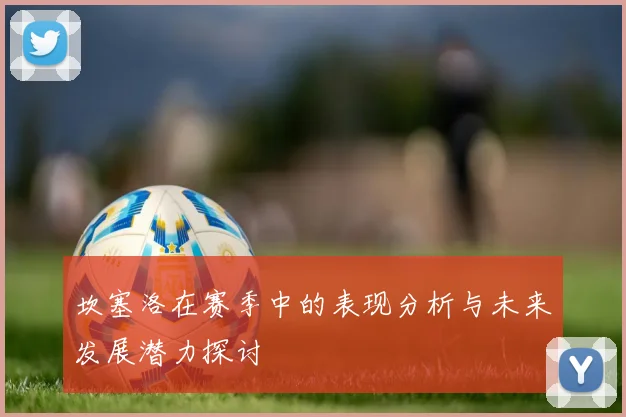 坎塞洛在赛季中的表现分析与未来发展潜力探讨