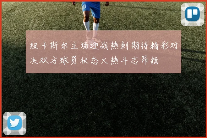 纽卡斯尔主场迎战热刺期待精彩对决双方球员状态火热斗志昂扬