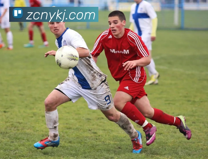 雷火竞技全站App